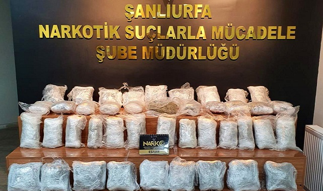 Şanlıurfa'da aranan iki araçta esrar ele geçirildi