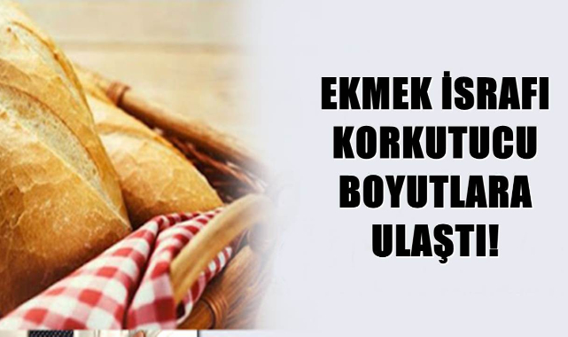 Türkiye’de her gün 5 milyon ekmek çöpe gidiyor