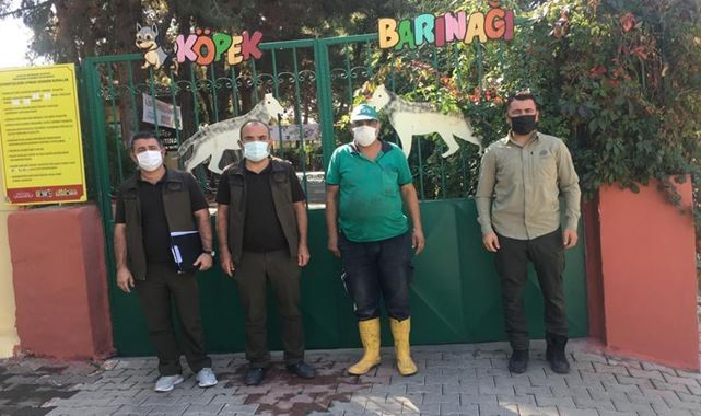Şanlıurfa hayvan barınağında denetim yapıldı