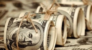 Dolar 10 lira oldu
