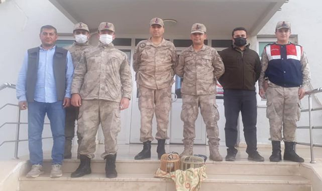 Halfeti'de kaçak avcı jandarmaya yakalandı