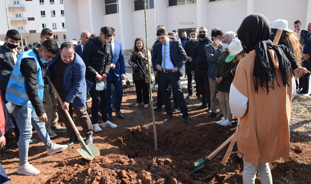 Viranşehir’de 2 bin fidan toprakla buluşuyor
