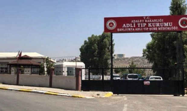 Ağaçtan düşen Muhammed El Edham Urfa'da hayatını kaybetti