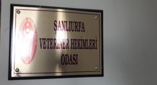 Şanlıurfa Veteriner Hekimleri Odası: Veteriner hekimler dışlanmıştır