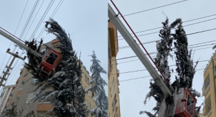 Kardan ağırlaşan ağaç mahalleyi elektriksiz bıraktı