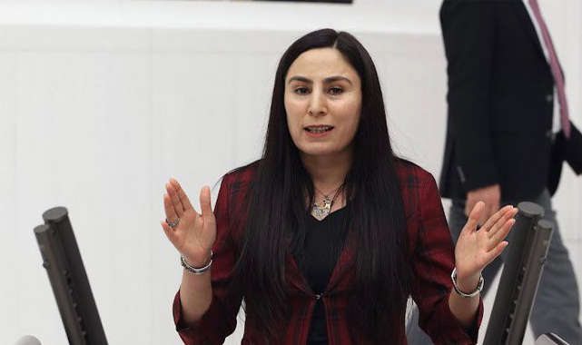 Şanlıurfa Vekili Sürücü: Covid-19 meslek hastalığı sayılsın