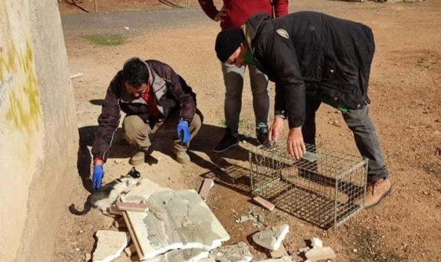 Ayağı kırılınca barınak ekipleri seferber oldu
