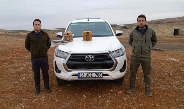 Kaçak avlanan 5 şahıs hakkında işlem yapıldı
