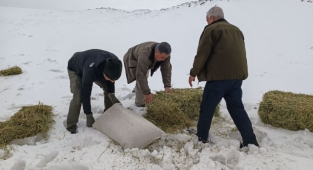 Kar örtüsü nedeniyle aç kalan hayvanlar unutulmadı