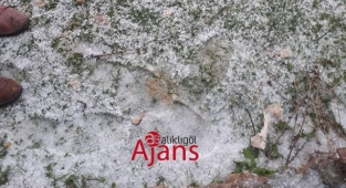 Aniden bastıran dolu yağışı çiftçiyi korkuttu