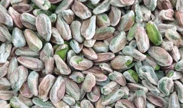 Günlük fıstık fiyatları belli oldu