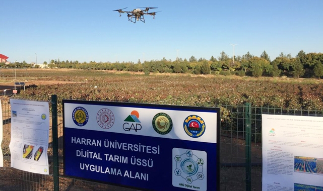 Harran Üniversitesi dünyanın en iyileri arasında yer aldı
