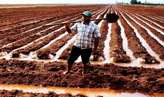 Şanlıurfa’da beyaz altın toprakla buluştu