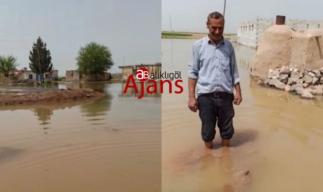 Şanlıurfa'da bir mahalle sulara gömüldü