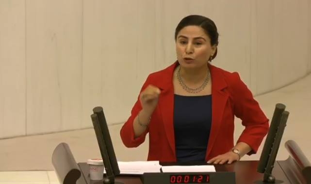 Vekil Sürücü, mecliste Urfa'nın sorunlarını gündeme getirdi