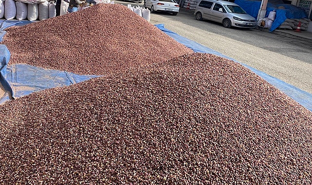 Antep fıstığında son durum! İşte güncel fiyatlar