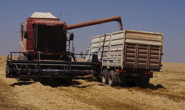Buğday ve arpa fiyatları güncellendi