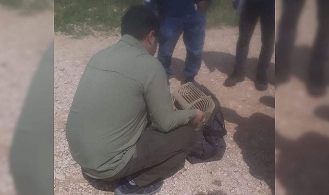 Kaçak avlanan şahıslara ceza kesildi