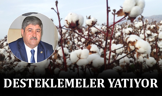 Şanlıurfa’da çiftçiye ‘pamuk ekin’ çağrısı