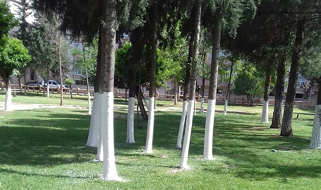 Viranşehir'deki parklarda yaz hazırlığı