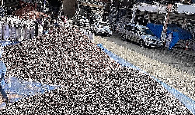 Antep fıstığı fiyatlarında son durum! İşte yeni fiyatlar