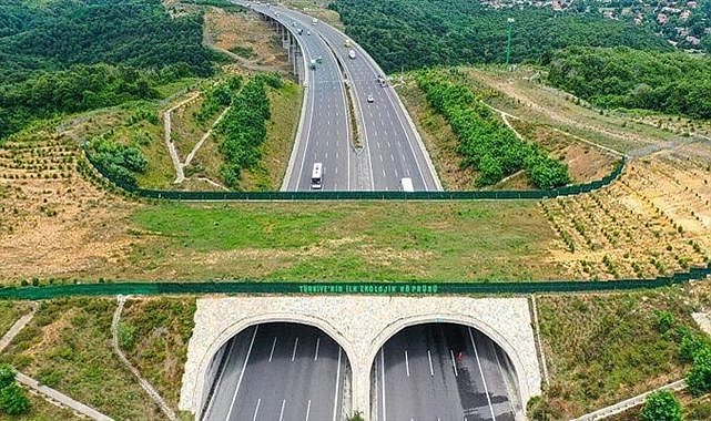 Çevreci yatırımlarla ekonomiye yıllık 28,2 milyar dolar katkı sağlanıyor