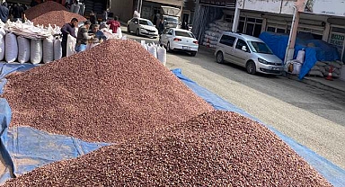 Şanlıurfa Şıracılar ve Kuruyemişçiler pazarında fıstık fiyatları