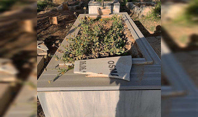 Suruç’ta öldürülen iki gencin mezarına saldırı