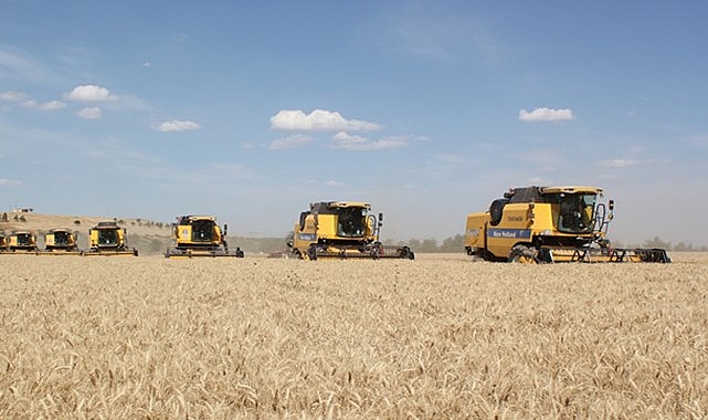 TİGEM'de 200 bin ton rekolte bekleniyor