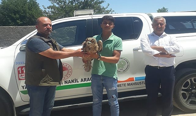 Şanlıurfa'da bulunan Puhu Kuşu tedavi altına alındı