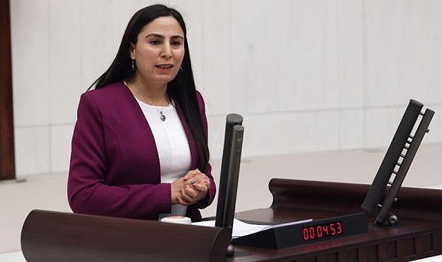Vekil Sürücü: Hanefiş Kilisesine gereken özen gösterilmiyor