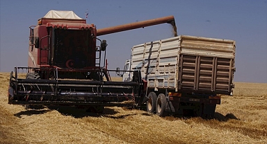 Buğday ve arpa fiyatları açıklandı! İşte yeni fiyat listesi