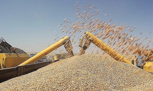 Hububat ve bakliyat fiyatları açıklandı