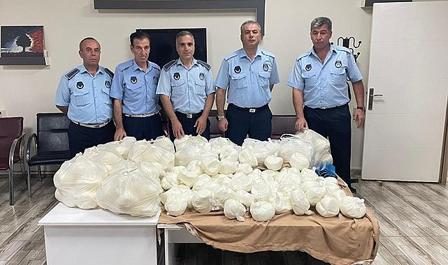 Şanlıurfa'nın ilçesinde sahte yağ ele geçirildi