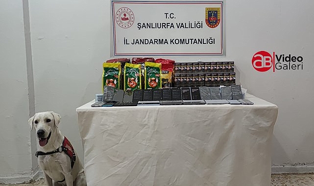 Urfa'da durdurulan tırda kaçak telefon ele geçirildi