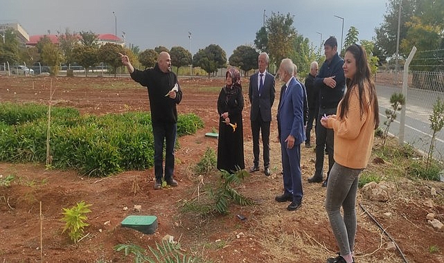 Dünyanın en değerli baharatı Şanlıurfa'ya kazandırıldı