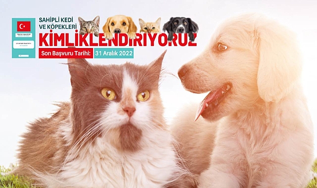 Evcil hayvanı olanlar dikkat! Son gün 31 Aralık