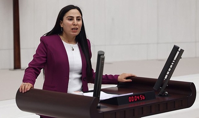 HDP’li Sürücü şiddet sorununu TBMM’ye taşıdı