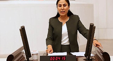 HDP Urfa vekilinin dosyası meclise geldi