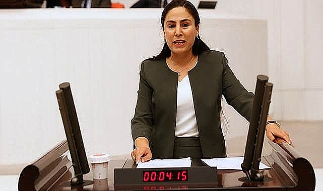 HDP Urfa vekilinin dosyası meclise geldi