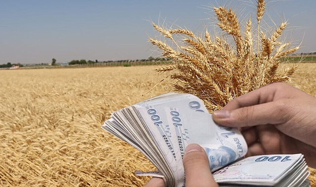 Hububat ve bakliyat fiyatlarında son durum! Güncellendi 
