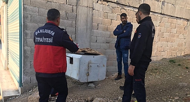 Şanlıurfa'da uygunsuz şartlarda beslenen kediler kurtarıldı