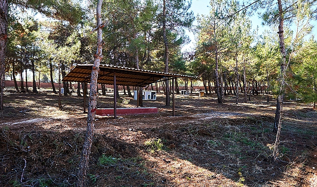 Sokak hayvanları için doğayla iç içe yaşam alanı