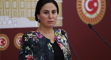 Vekil Sürücü, Urfa’da ki kadın cinayeti olayını TBMM’ye taşıdı