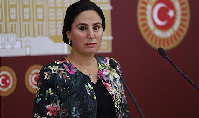 Vekil Sürücü, Urfa’da ki kadın cinayeti olayını TBMM’ye taşıdı