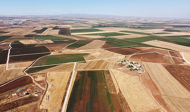 Şanlıurfa'da arazi kavgaları nedeniyle 13 kişi hayatını kaybetti