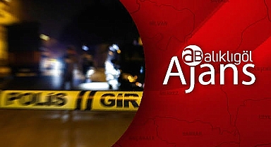 Urfa'da bir kaza haberi daha! Çok sayıda yaralı var