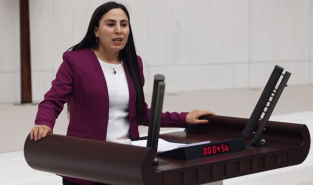 Vekil Sürücü, cezaevinde yaşanan sorunları meclise taşıdı