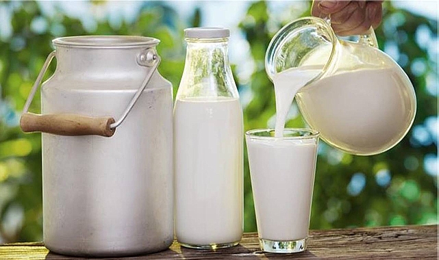 Çiğ süt desteği ödemelerine ilişkin esaslar belli oldu