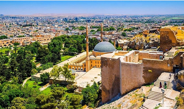 Şanlıurfa’da 5 kişi hayatını kaybetti